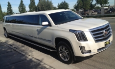 home-06-2015escalade