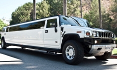 home-08-Hummer