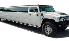 limo-04