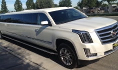 limo-06