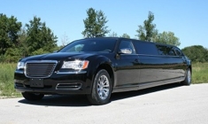 limo-11