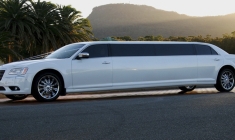 limo-12